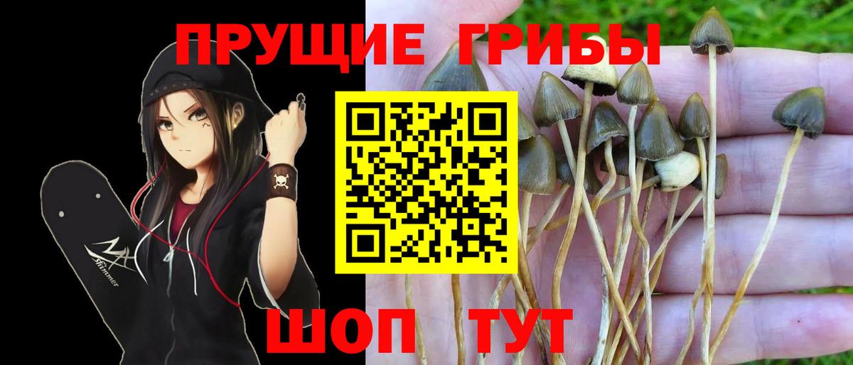 Галлюциногенные грибы мицелий Рязань